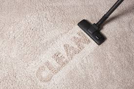 carpet cleaning services in castle