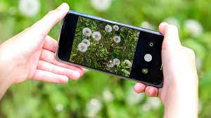 google lens to identify plants