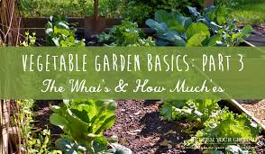 Vegetable Garden Basics Part 3 The