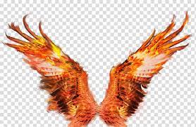 wings of fire fire wings sacramento