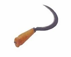 rank garden sickle rgtc 2143 at rs 250