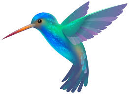 RÃ©sultat de recherche d'images pour "les colibris clipart"