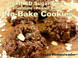 no bake sugar free chocolate peanut