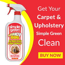 cleaning pet vomit stains from carpet