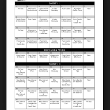 Insanity Deluxe Calendar Insanity Workout Schedule