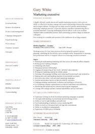     Resume In Supply Chain Management India Sales Intended For     Enchanting Format     Resume    Glamorous How To Update A Resume Examples    Interesting    