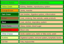 Mucus Color Chart