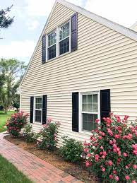 color to paint shutters and front door