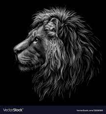 lion black and white graphic portrait a