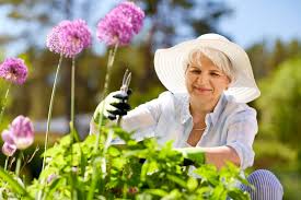 Seniors Wanting To Take Up Gardening