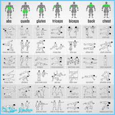 best bodyweight exercises pdf all