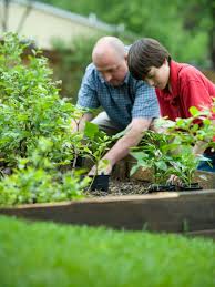 Best Gardening Gifts For Dads