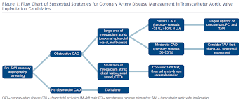 Figure 1 Flow Chart Of Suggested Strategies For Coronary