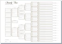 6 Generation Pedigree Chart White Family Tree Chart