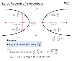 Latus Formulas Examples And