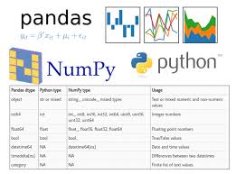 overview of pandas data types