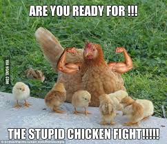 Image result for stupid fight