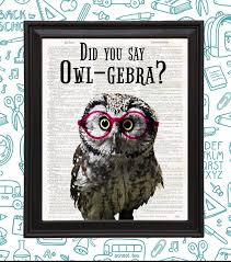 nerdy owl with glasses funny animal