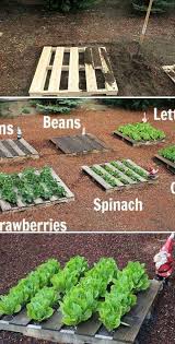 25 garden pallet projects vegetable