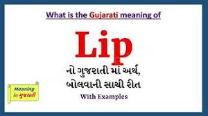 lip meaning in gujarati lip ન અર થ