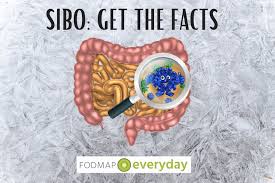 sibo get the facts fodmap everyday