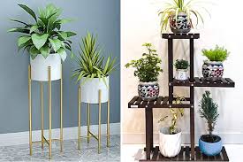 plant decoration ideas for homes a