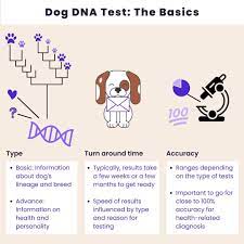 how much is a dna test a 2023 guide