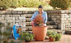 Fall Container Gardening Ideas The