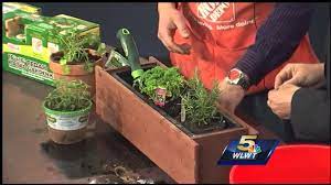 Learn How To Make An Indoor Herb Garden