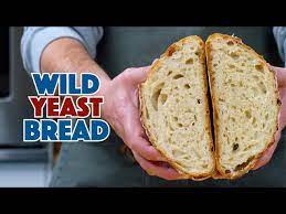 how to make wild yeast bread why it