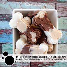 frozen and chilled homemade dog treats