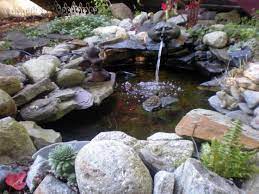 backyard rock and water garden
