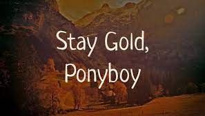 Ponyboy points out that the sunset closes the gap between the greasers and socs. Quote Stay Gold Ponyboy Poster Apagraph