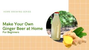homemade ginger beer for beginners