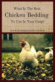 what is the best en bedding to use