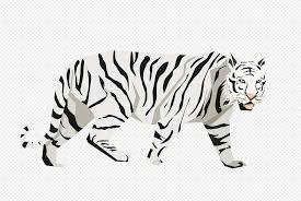 white tiger png images with transpa