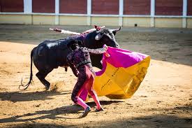 Hay una persecución política contra los taurinos”: Gitanillo de América  defiende las corridas de toros en Colombia