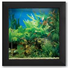 Black Glass Wall Mounted Fish Aquarium