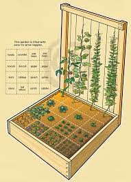 How To Plant A Compact Vegetable Garden