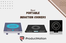 12 best portable induction cookers in