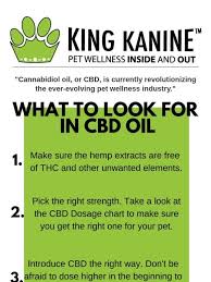 King Kanine Llc What To Look For In Cbd Oil Milled