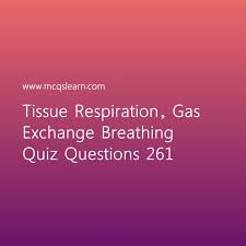 Pixie dust, magic mirrors, and genies are all considered forms of cheating and will disqualify your score on this test! Learn Quiz On Tissue Respiration Gas Exchange Breathing O Level Biology Quiz 261 To Practice Free Biolo Biology Online O Levels Trivia Questions And Answers