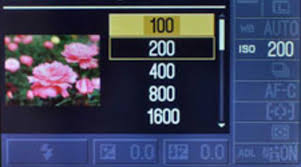 What Is Iso Sensitivity Iso Effects Camera Settings