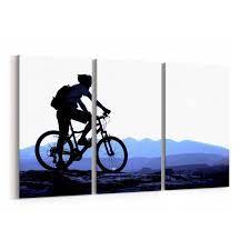 Mountain Biking Wall Art Canvas