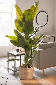 Our faux rendition of the real thing adds the same natural beauty to the room, but without any upkeep or need for specific sunlight. Best Fake Plants That Look Real Popsugar Home