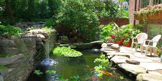 Koi Pond Design Maintenance