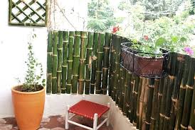 Small Balcony Garden Bamboo Fence