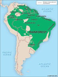 Within a tropical rainforest there are four distinct layers of life—the emergent , the canopy , the understory , and the forest floor. Amazon Rainforest Location On World Map