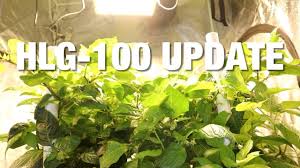 Hlg 100 Quantum Board Grow Light Update 2 Horticulture Lighting Group Youtube
