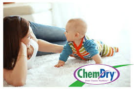 professional carpet cleaning dries in